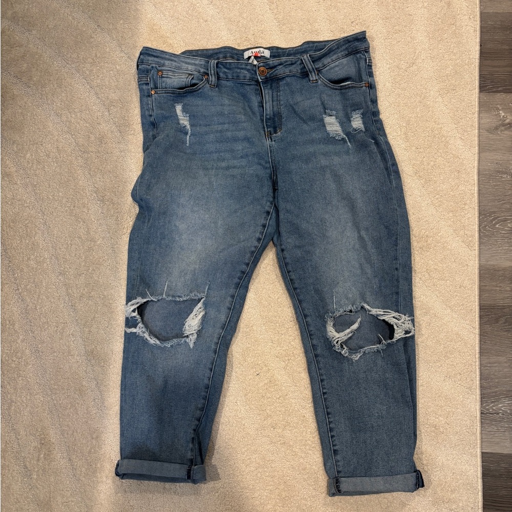 Arula Distressed Blue Jeans